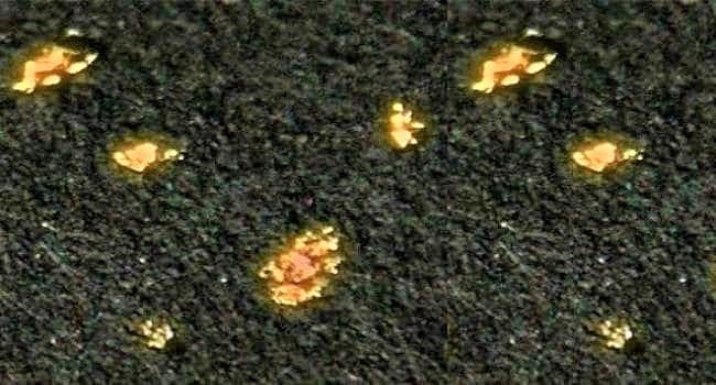 californium is radioactive metallic chemical element