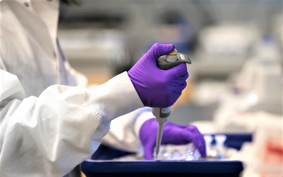 Coronavirus-vaccine pakistan is going to Pahse 3 testing the Chinese laboratories