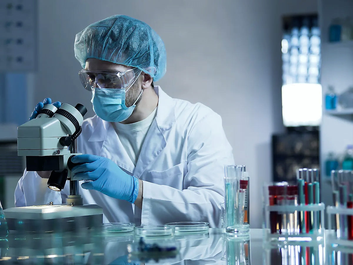 Here's how scientists know the coronavirus came from bats and was made into the Lab