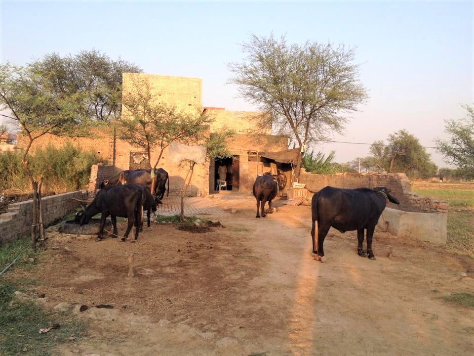 Karla kalan, gujrat, Punjab, Pakistan 