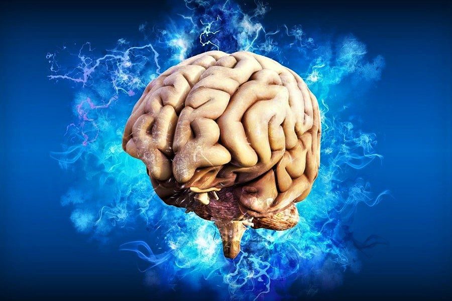 Optical Illusions effects in the Brain when you see a picture it becomes inverse, our brain turn it right and we see that picture is this
